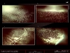 web_2010_2012_02