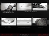 web_2010_firteflychase_01
