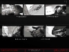 web_2010_firteflychase_02