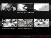 web_2010_firteflychase_03