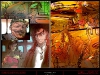 5web_2010_nico_001