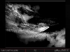 website_new_uploads_2010_nike_dust_02